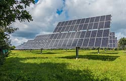 Solarmodule auf einer Freifläche im Grünen